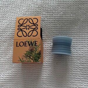 Loewe Tan Box with Green Accents